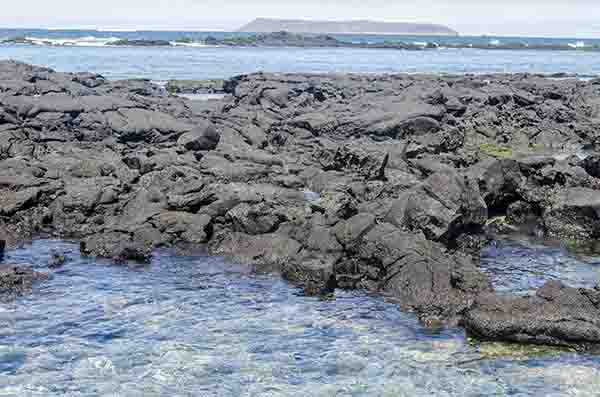126 - Ecuador - islas Galapagos - islote Las Tintoreras